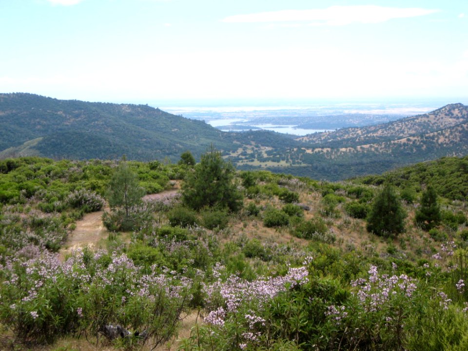 Big Oak Flat, California Overlooking New Melones Reservoir