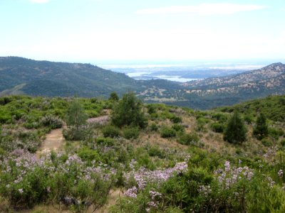 Big Oak Flat, California Overlooking New Melones Reservoir