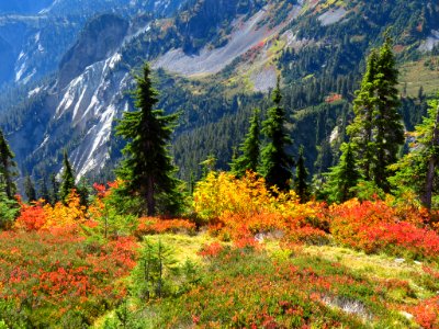 Autumn at Artist Point in WA