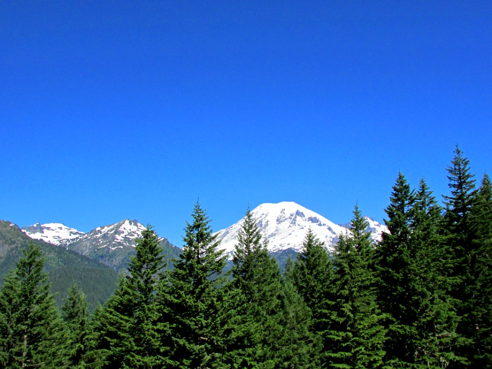 Mt. Rainier NP in WA