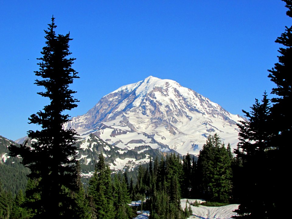Mt. Rainier NP in WA