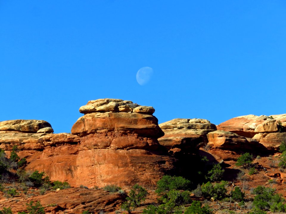 Needles District at Canyonlands NP in Utah