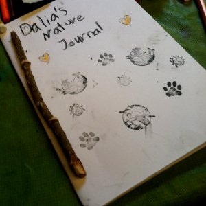 Summer Headwaters Education Program