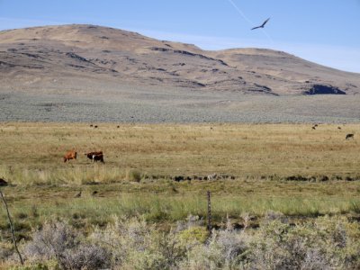 Smoke Creek Canyon