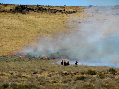 R4 Fire in Eagle Lake Field Office