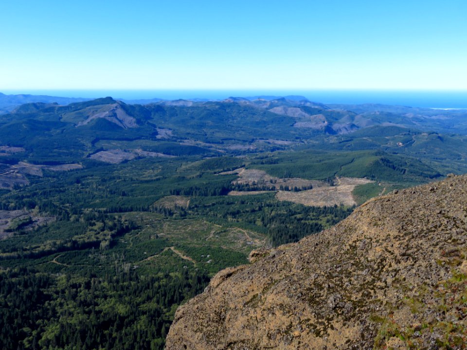 Saddle Mountain Trail in OR