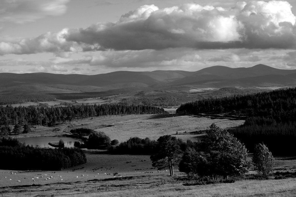 Cockforest from Blackhills.
