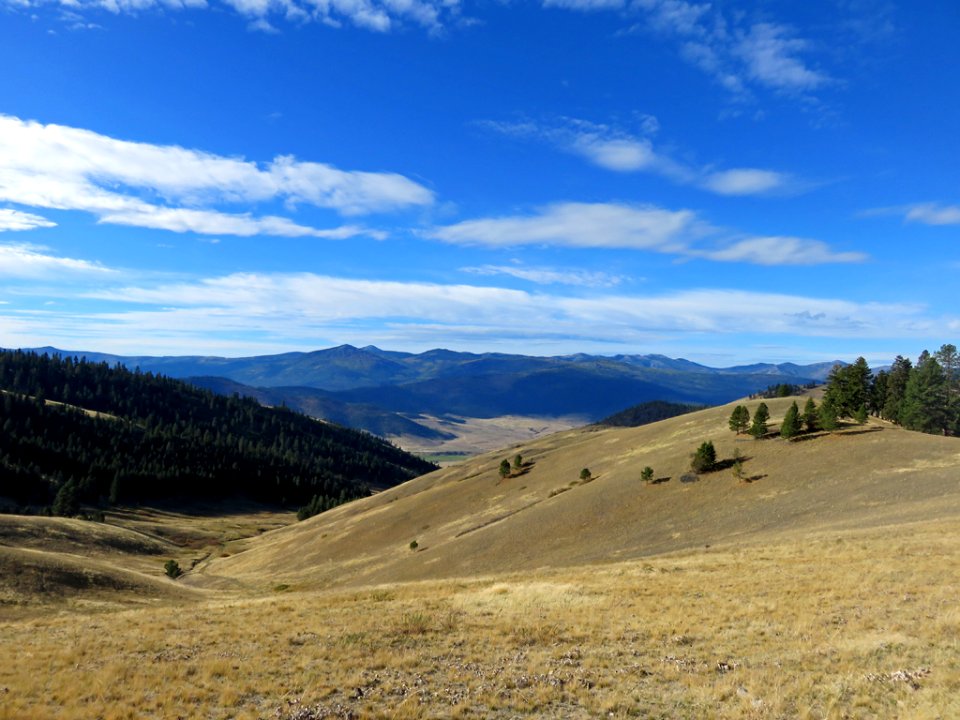 National Bison Range in Montana