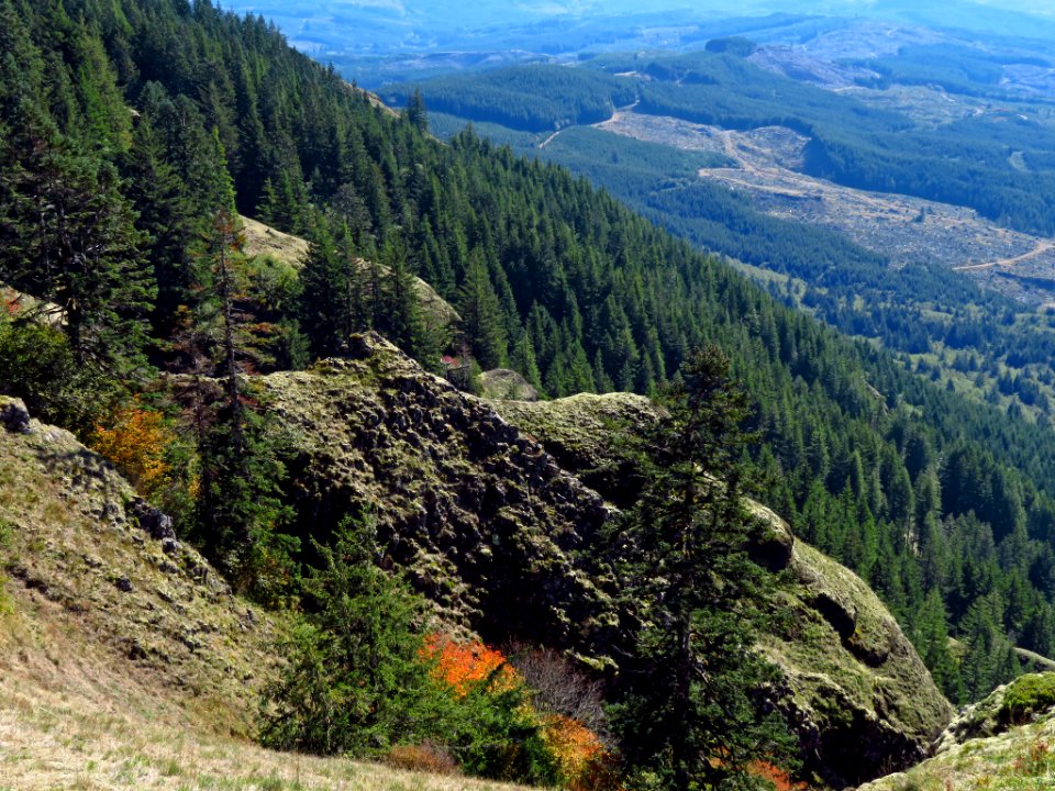 Saddle Mountain Trail in OR
