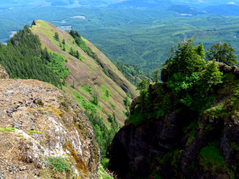 Saddle Mountain Trail in OR