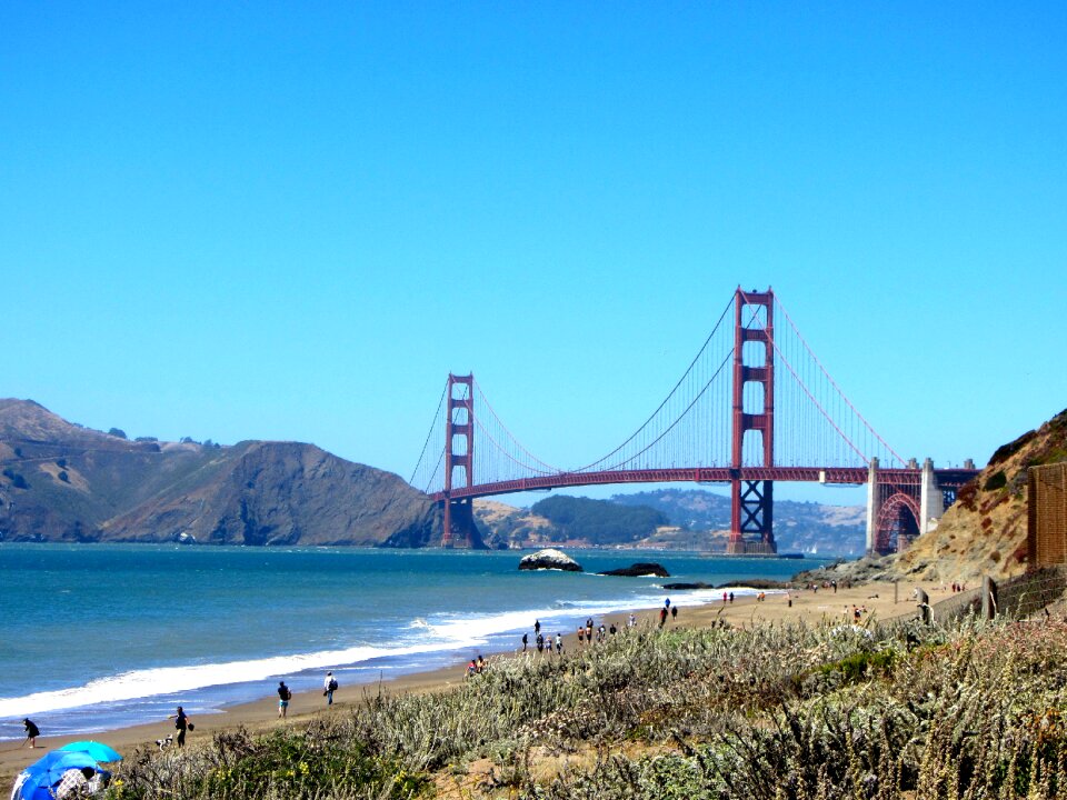 California golden bay
