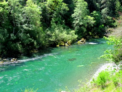 Smith River at Jedediah Smith Redwoods SP in California