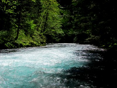 Spirit Falls Trail on Little White Salmon River in WA