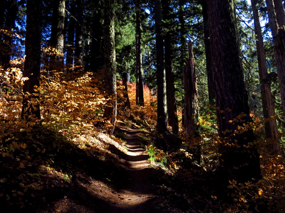 Ape Canyon Trail in WA