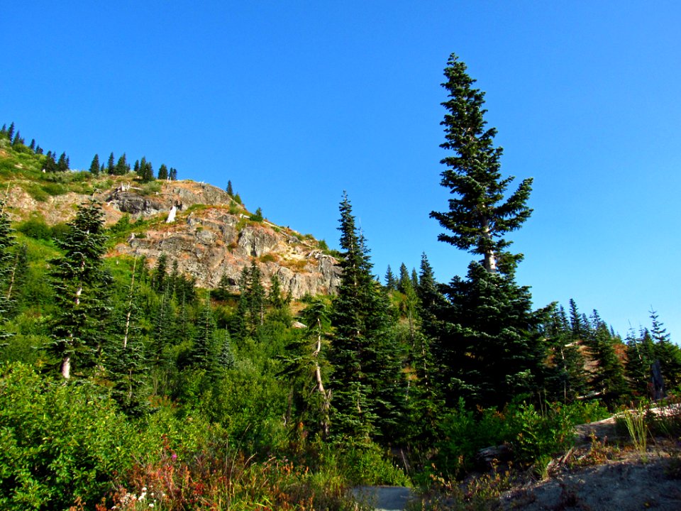 Mt. Margaret Backcountry in WA