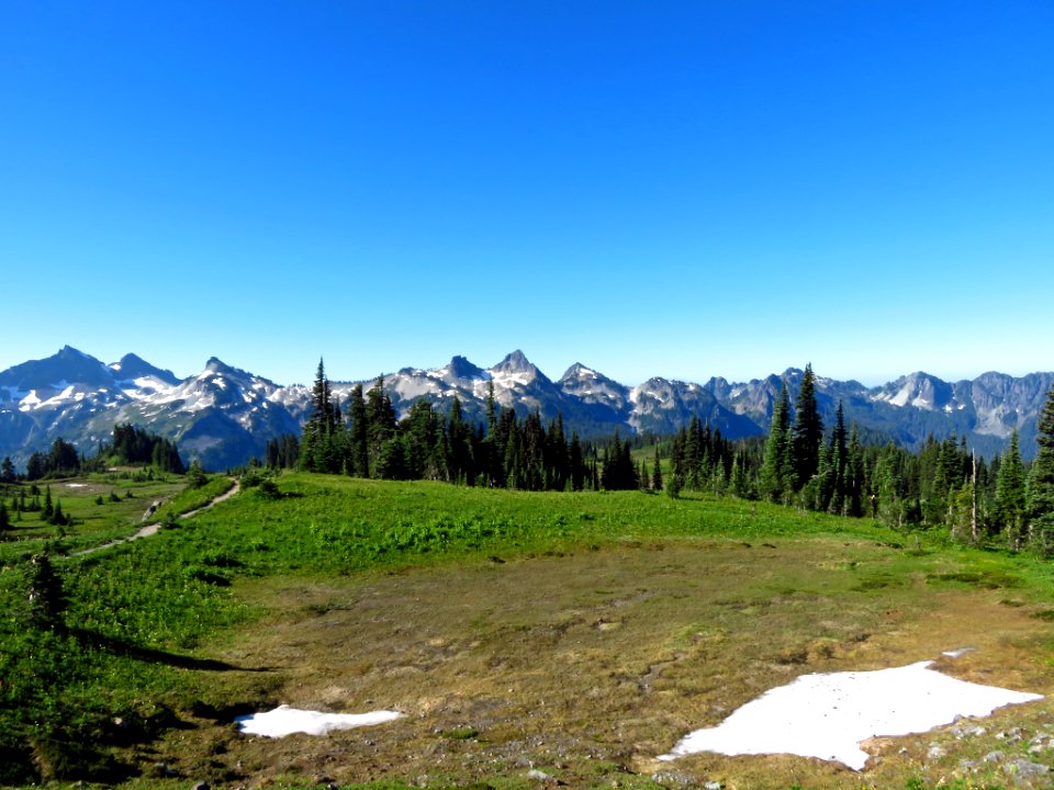 Skyline Trail at Mt. Rainier NP in WA