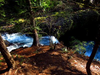 Spirit Falls Trail on Little White Salmon River in WA photo