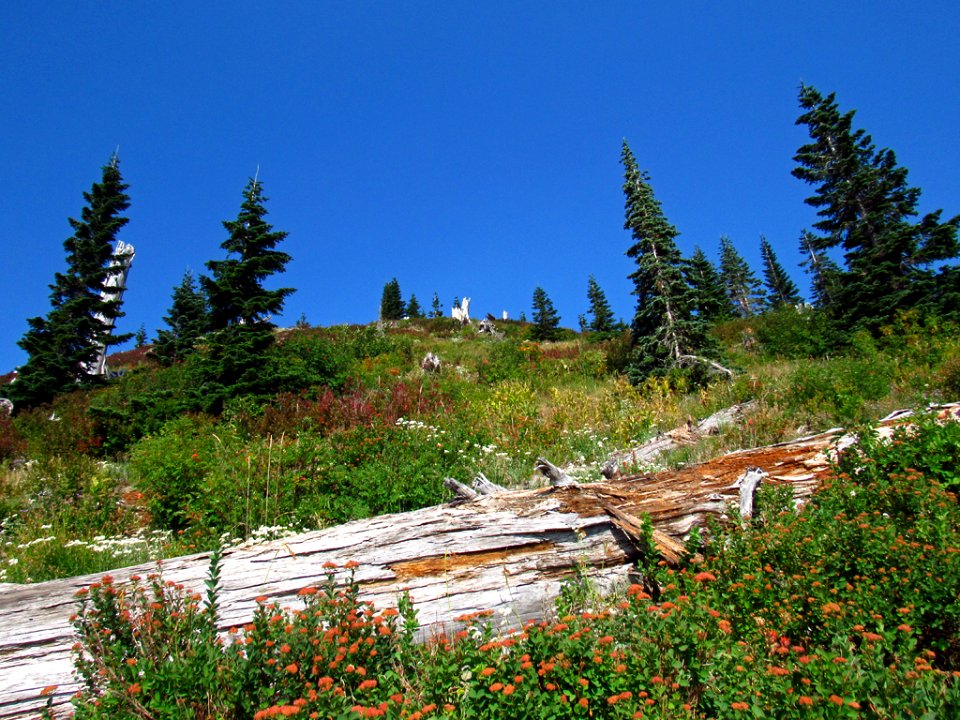 Mt. Margaret Backcountry in WA