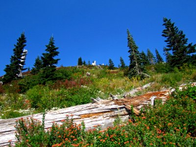 Mt. Margaret Backcountry in WA