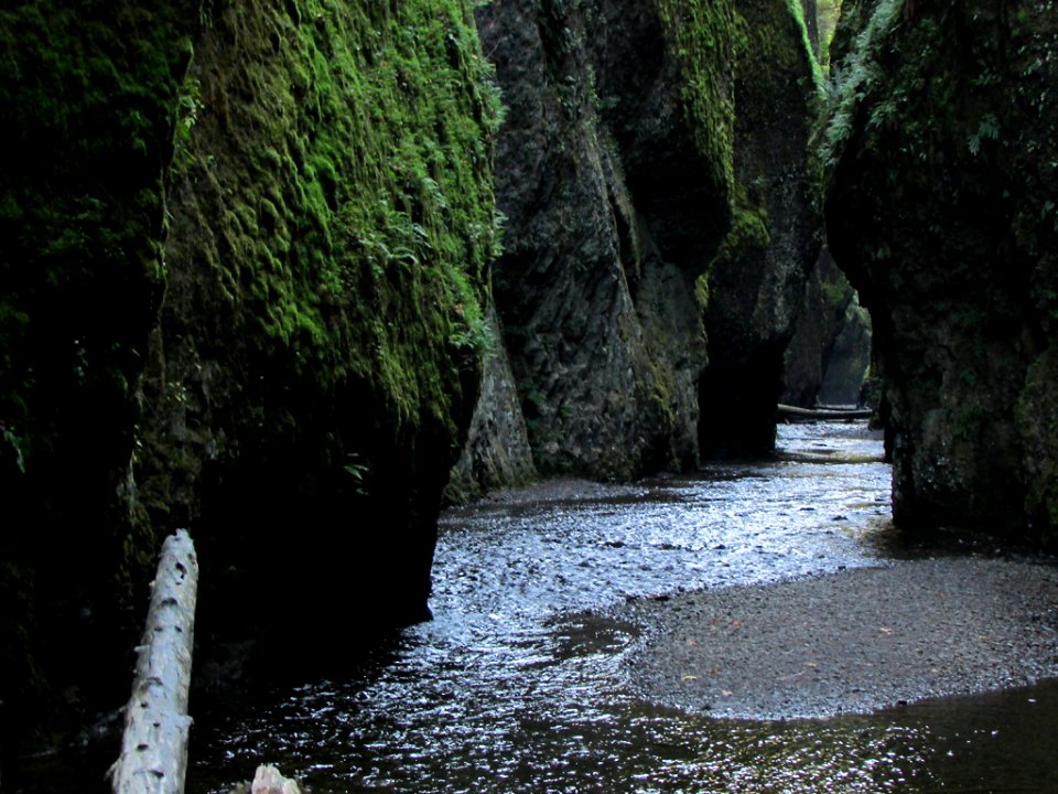 Oneonta Gorge at Columbia River Gorge in OR