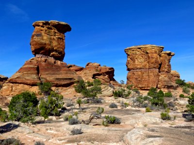 Needles District at Canyonlands NP in Utah photo