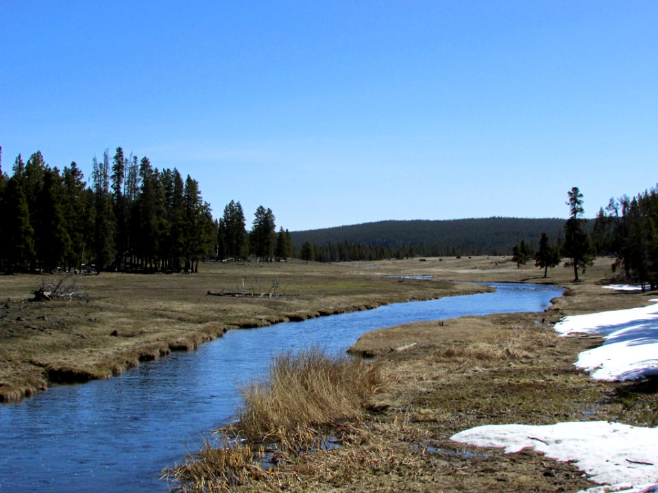 Yellowstone NP in WY