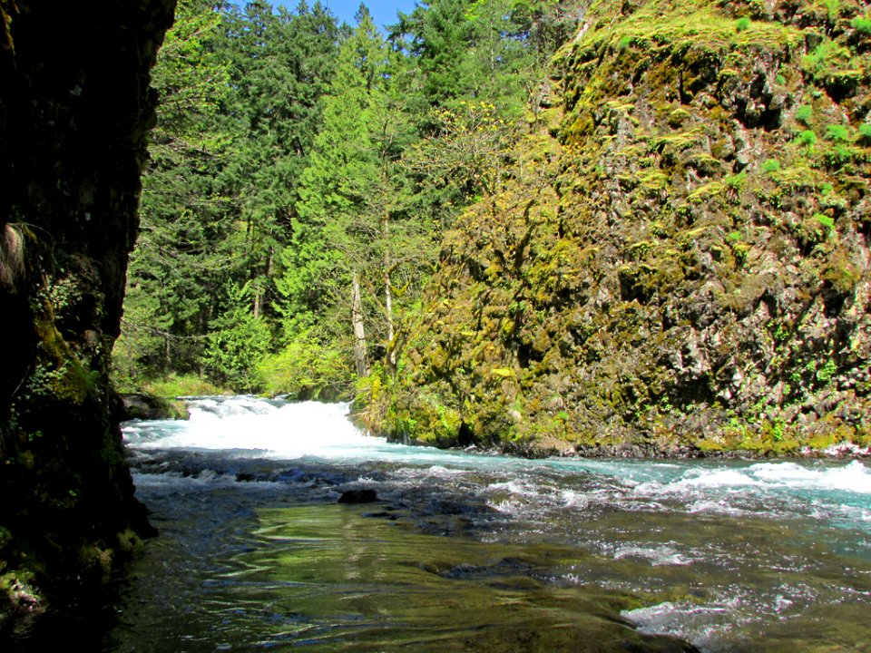 Spirit Falls Trail on Little White Salmon River in WA