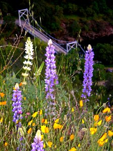Merced River Recreation Management Area