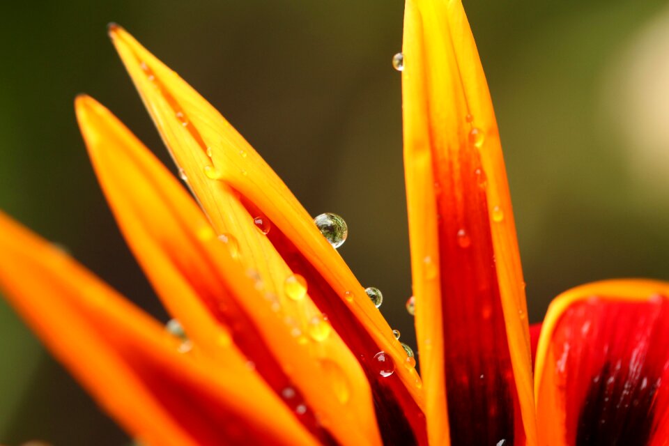 Wet droplets water