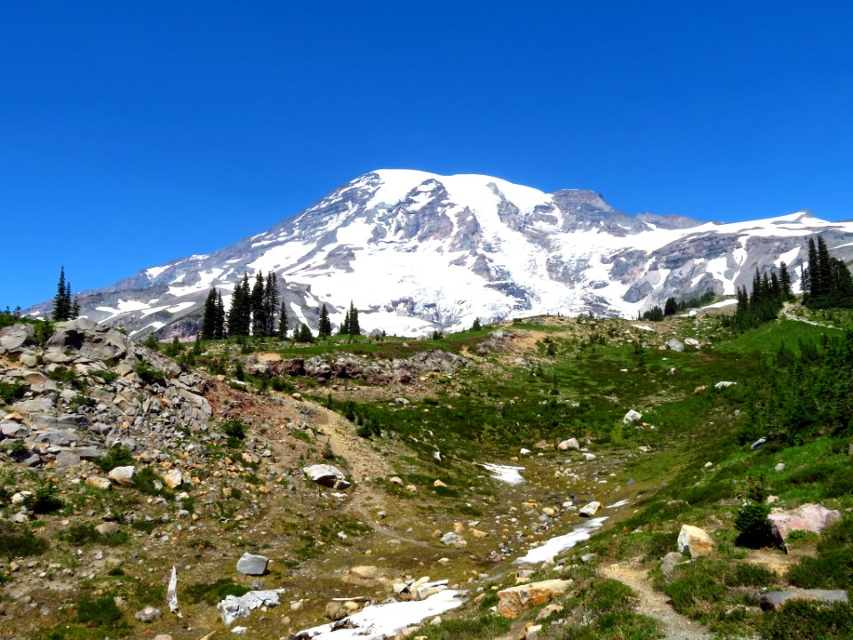 Skyline Trail at Mt. Rainier NP in WA