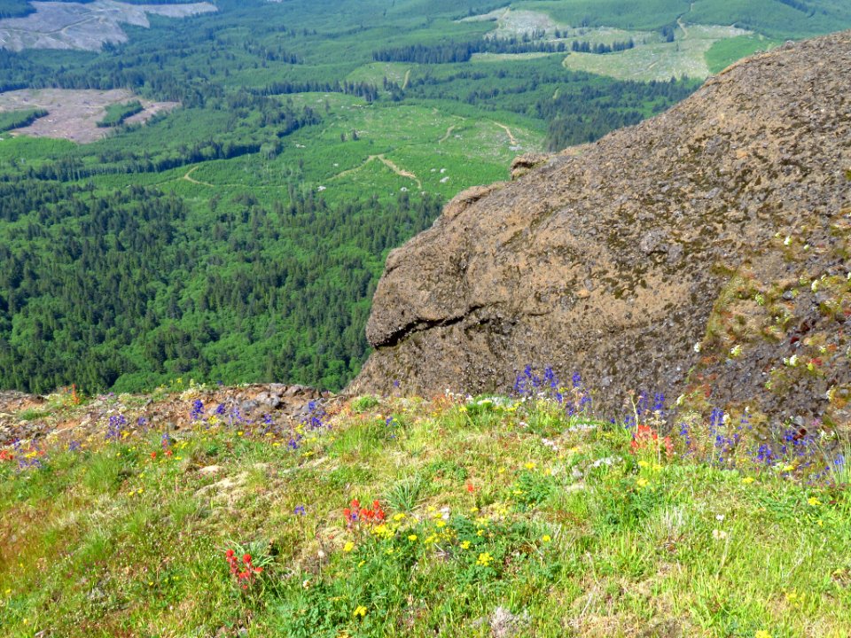 Saddle Mountain Trail in OR