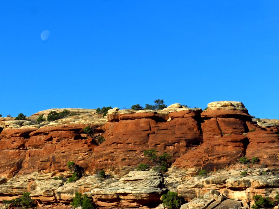 Needles District at Canyonlands NP in Utah