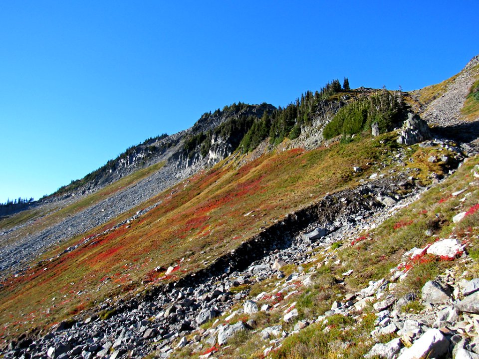 Autumn at Golden Gate Trail at Mt. Rainier NP in WA