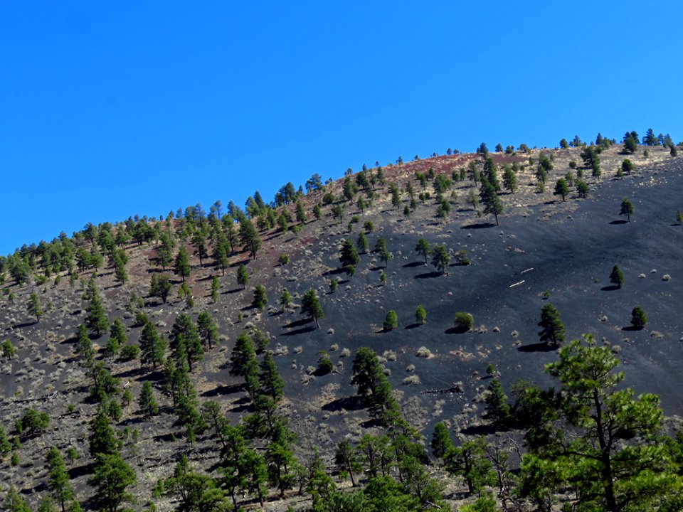 Sunset Crater Volcano NM in AZ