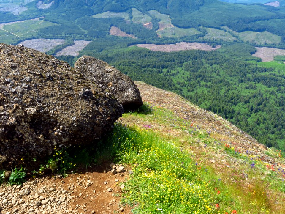 Saddle Mountain Trail in OR