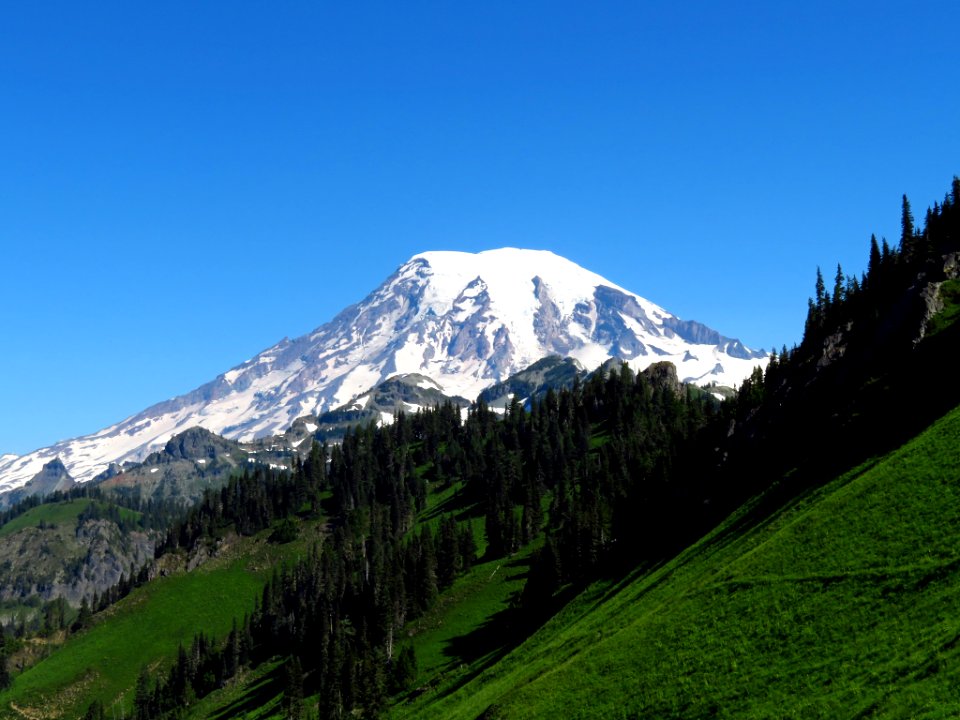 Mt. Rainier on Tatoosh Peak Trail in WA
