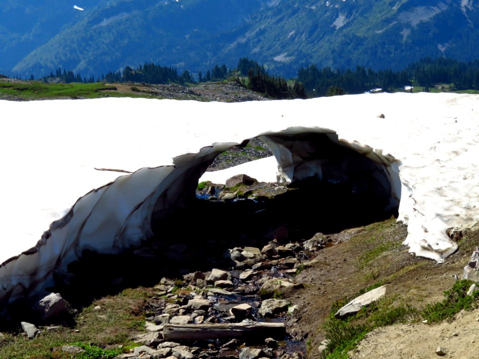 Skyline Trail at Mt. Rainier NP in WA
