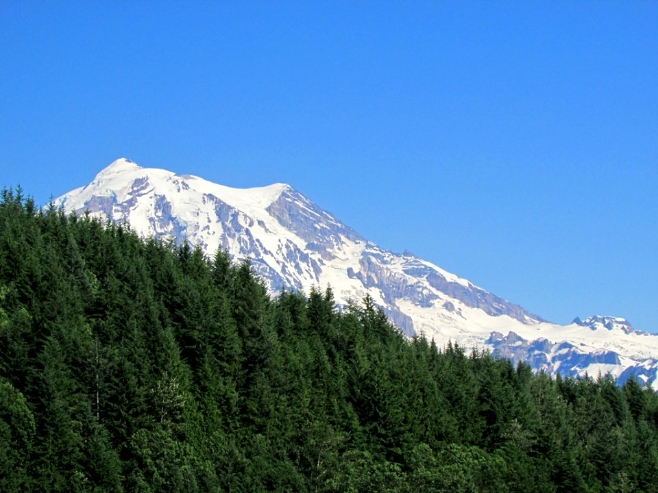 Mt. Rainier NP in WA
