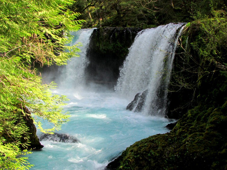 Spirit Falls Trail on Little White Salmon River in WA