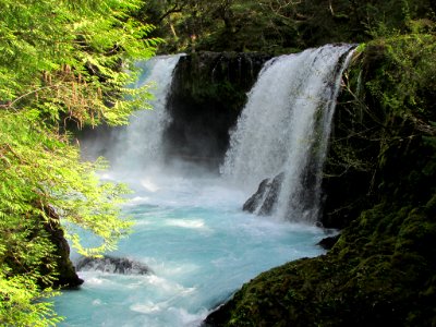 Spirit Falls Trail on Little White Salmon River in WA