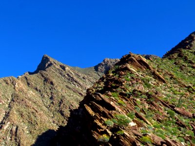 Palm Canyon with Mountains at Anza-Borrego Desert SP photo