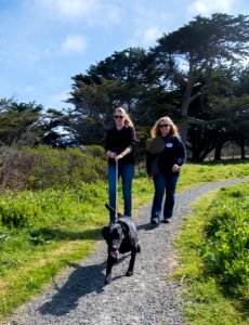 Mike Thompson Wildlife Area, South Spit Humboldt Bay
