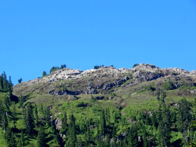 Mt. Baker-Snoqualmie NF in WA