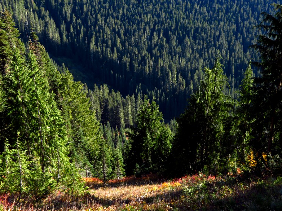 Tatoosh Ridge in WA
