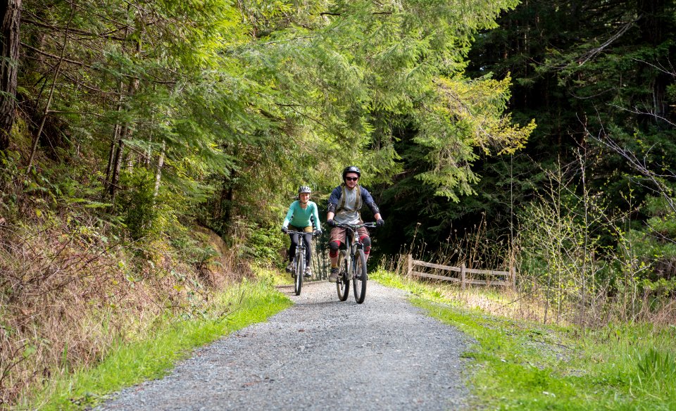 Headwaters Forest Reserve