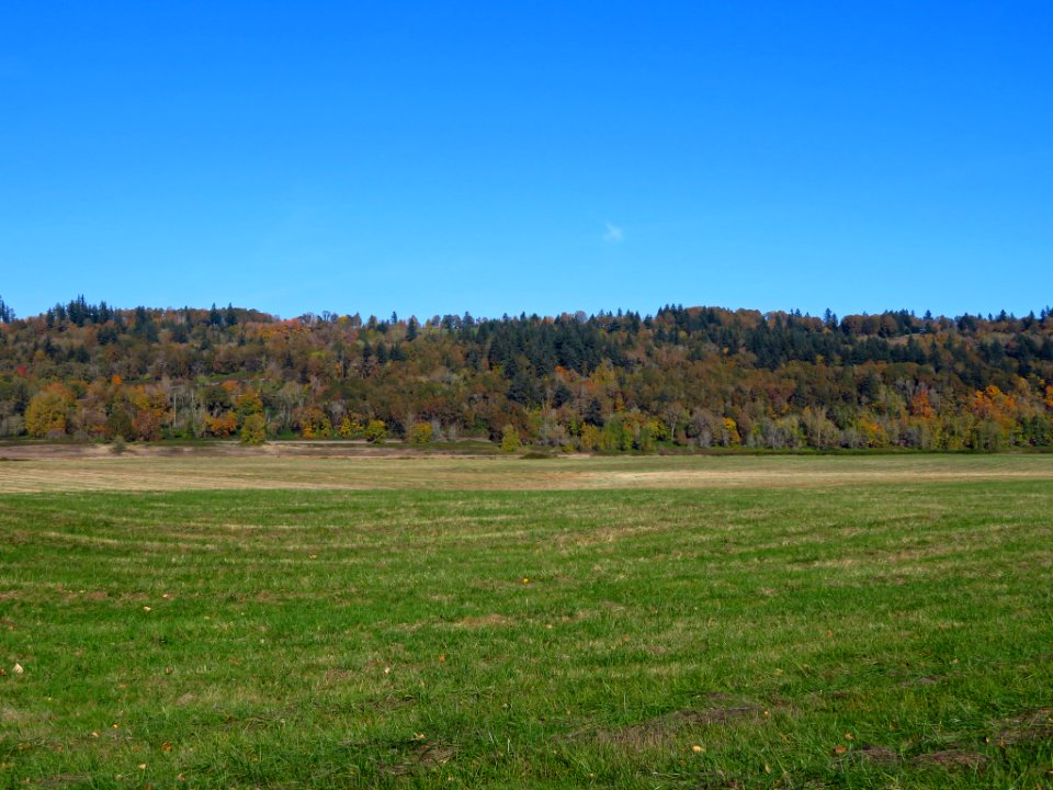 Autumn at Steigerwald Lake NWR in WA