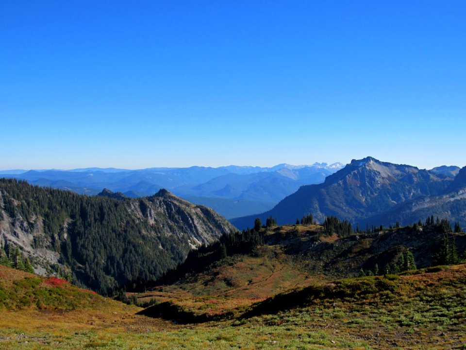 Autumn at Skyline Trail at Mt. Rainier NP in WA