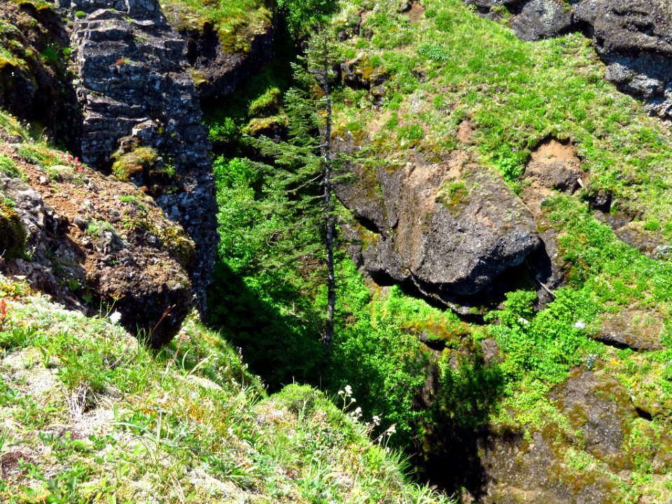 Saddle Mountain Trail in OR
