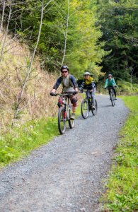 Headwaters Forest Reserve