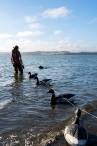 Mike Thompson Wildlife Area, South Spit Humboldt Bay